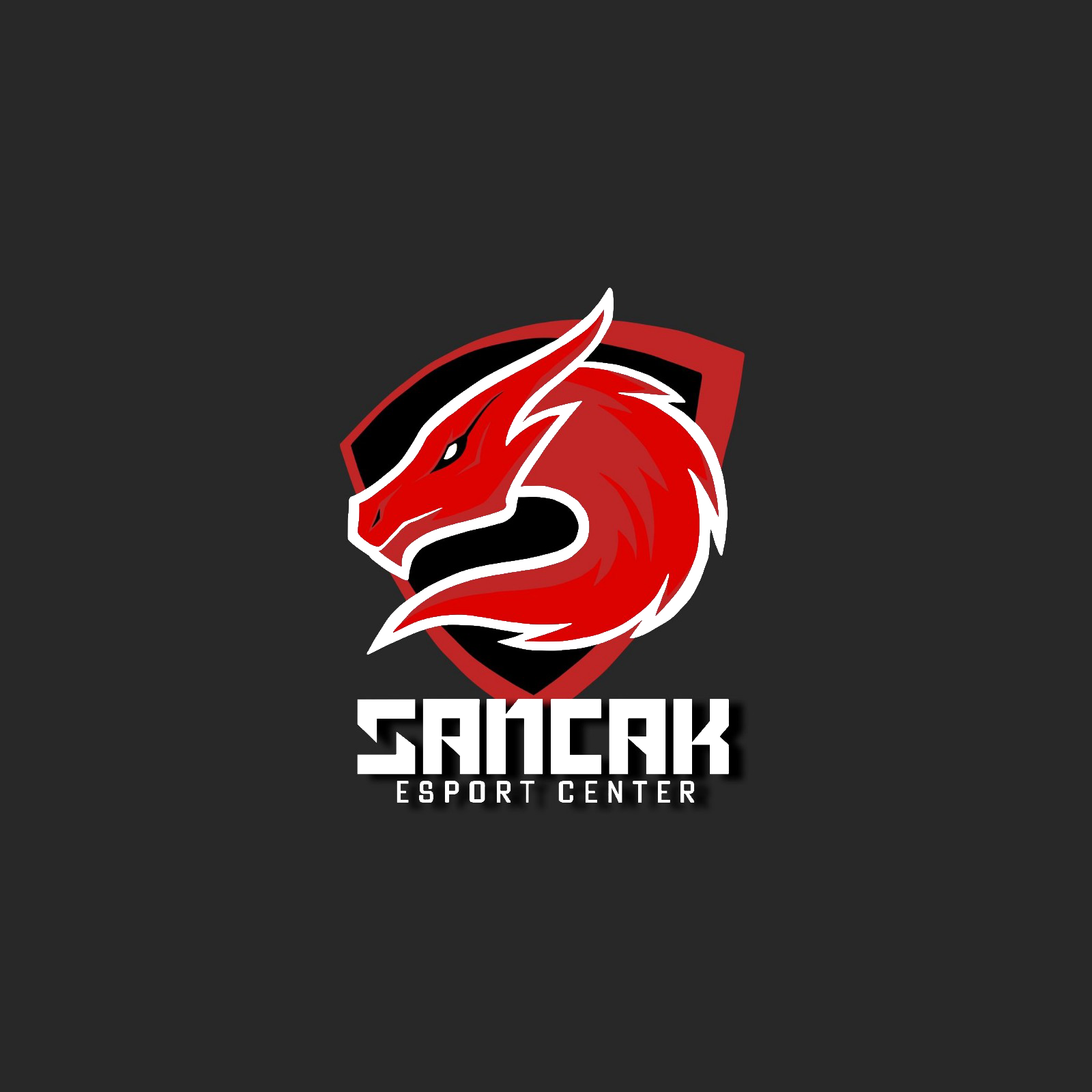 Sancak Esport Center logo